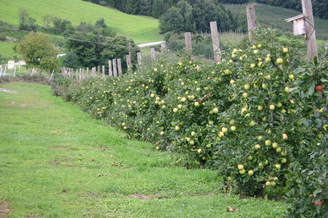 Apfelhof Flieder * Kukmirn